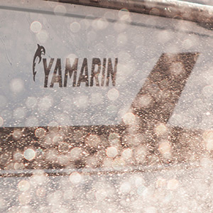 Article image placeholder